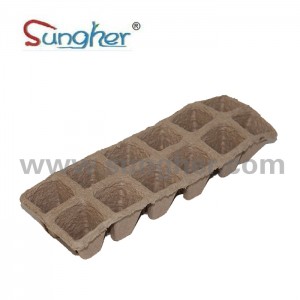 Paper Pulp Plant Tray – 2X6 Square Tray