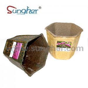 Paper Pulp Flower Pot