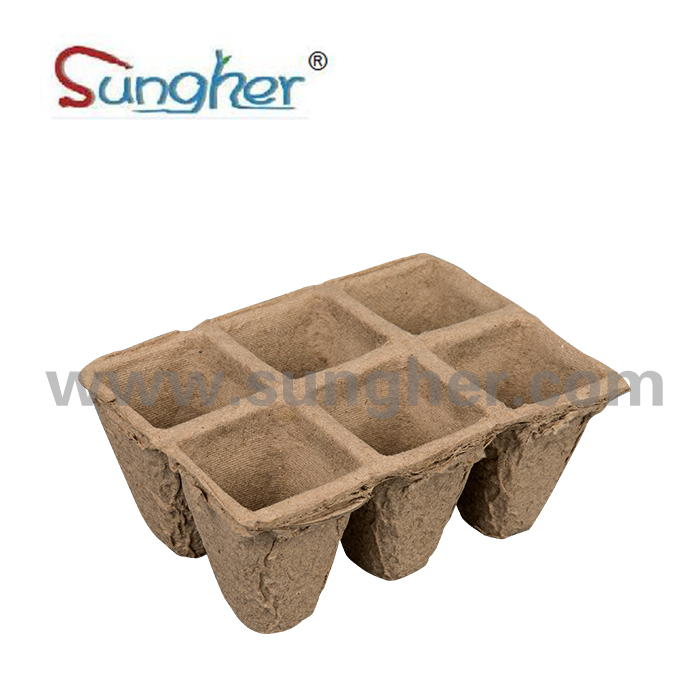 Paper Pulp Plant Tray – 2X3 Square Tray Featured Image