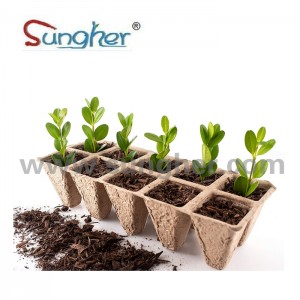 Paper Pulp Plant Tray – 2X5 Square Tray