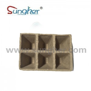 Paper Pulp Plant Tray – 2X3 Square Tray