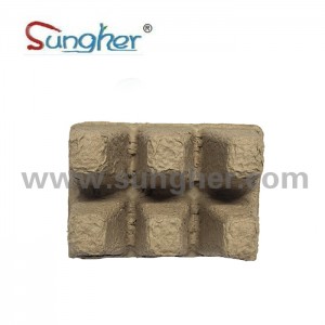 Paper Pulp Plant Tray – 2X3 Square Tray