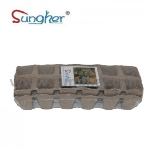 Paper Pulp Plant Tray – 2X6 Square Tray