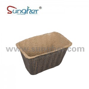 Paper Pulp Flower Pot